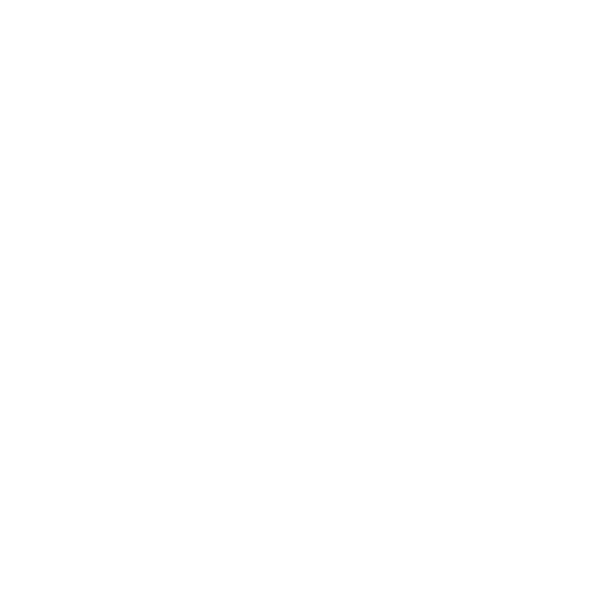CF Moto Logo